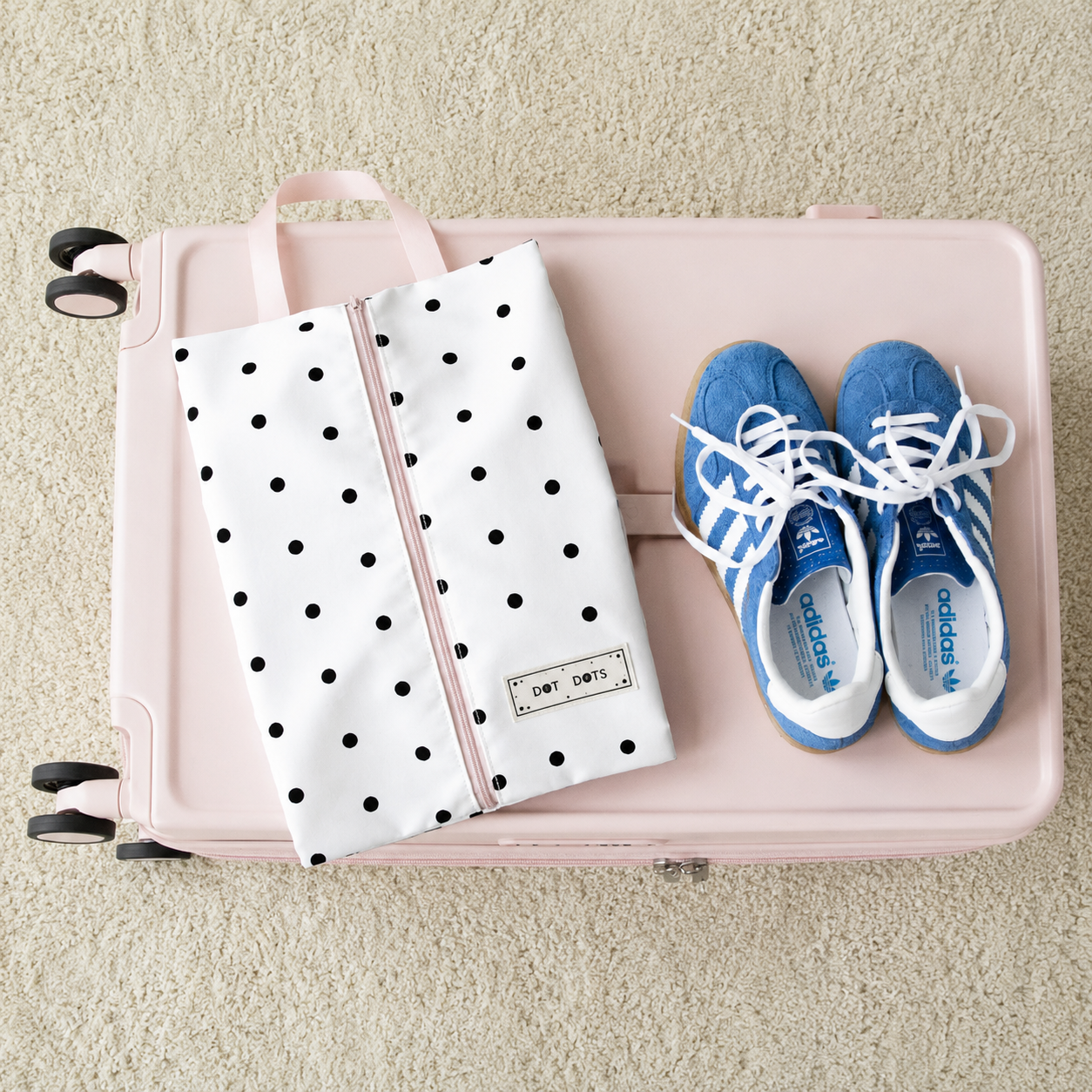 Travel Organizer Bag